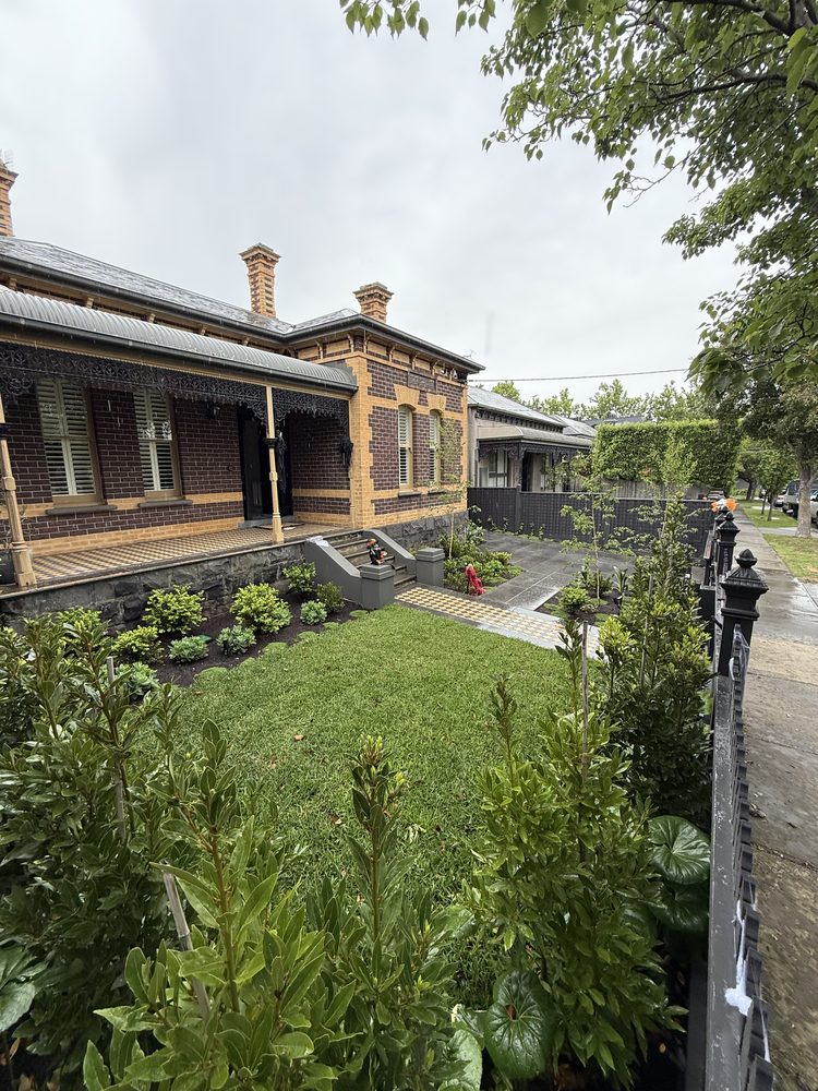 Restored front garden with new lawn and hedging at a Victorian brick terrace