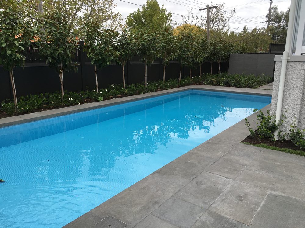 Swimming pool with bluestone coping and screening trees in a landscaped backyard