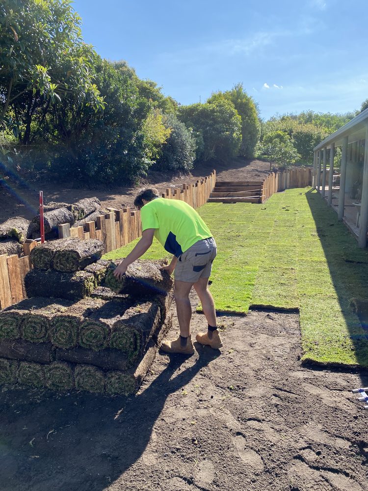 Landscaper laying rolls of turf on a terraced garden with timber sleeper retaining walls