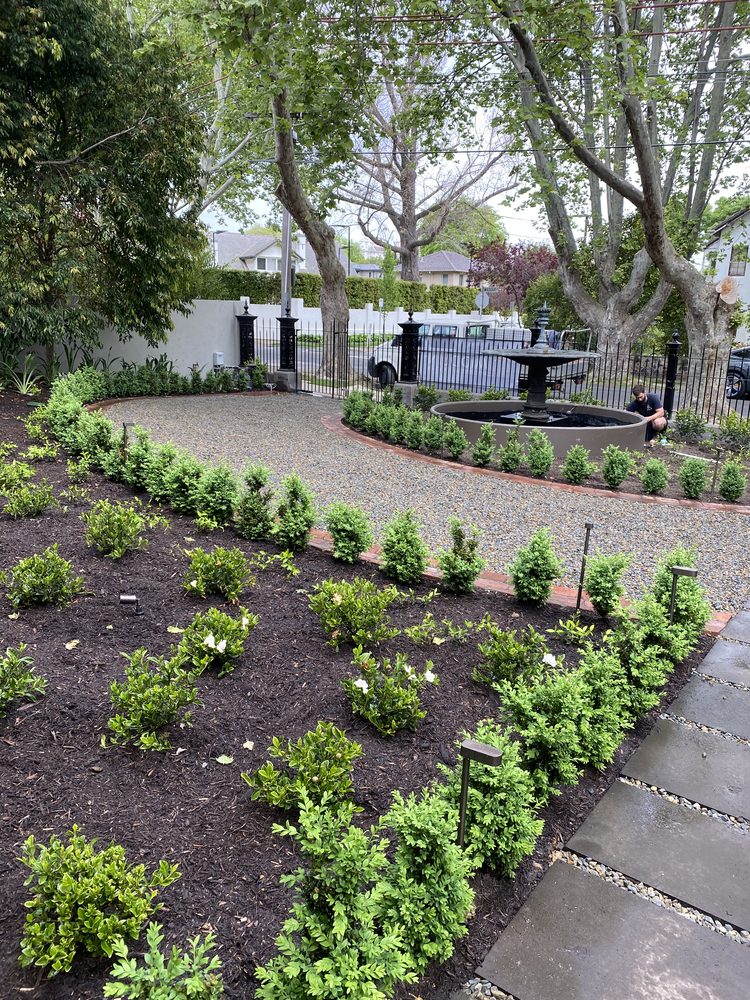 Formal garden with clipped box hedging and a tiered fountain behind a wrought-iron fence