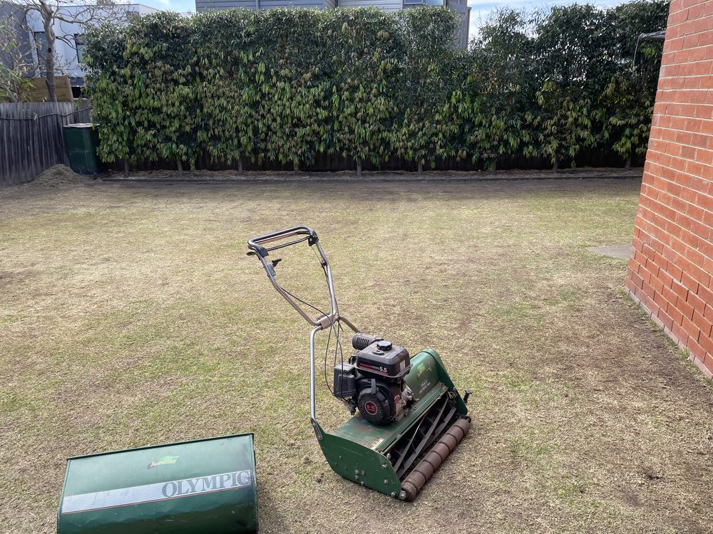 Cylinder mower on a residential lawn during turf maintenance by Dynamic Spaces Australia