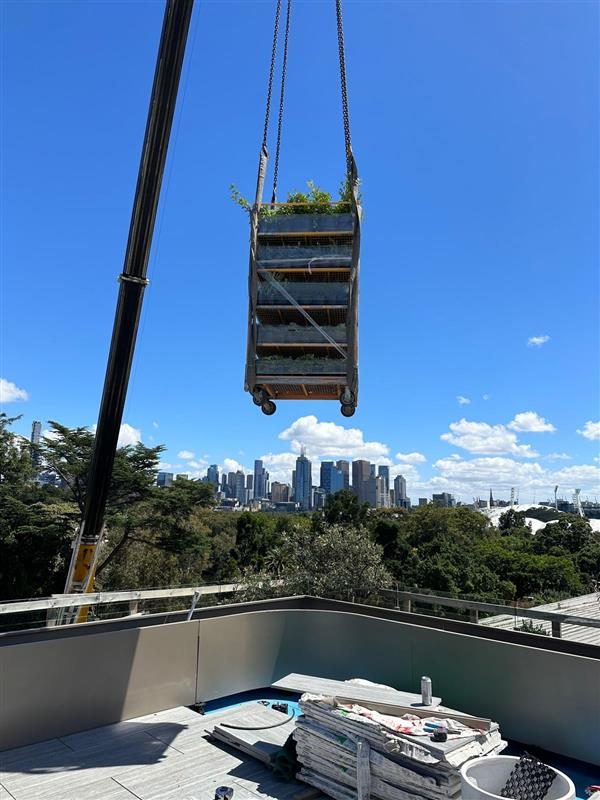 Dynamic Spaces Australia civic construction project